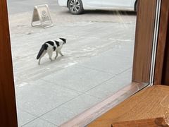 -侘寂甜品(自取店)
