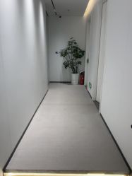 -玛莲朵·海菲秀冰珀科