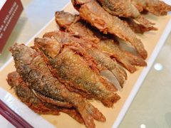 -小北江河鲜(新城店)