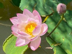 -金桥现代产业园区-停车场