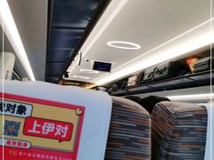 -深圳坪山站