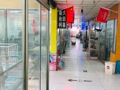 -山东柏宁水族批发广场