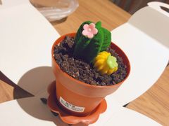-85度C(常熟海虞店)