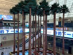 -广州白云国际机场-T2航站楼