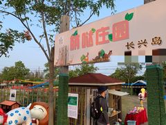 -上海长兴岛郊野公园