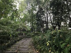 -成都市活水公园