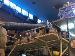 -卡通尼·Safari非洲探索乐园·生日会(金桥国际商业广场店)