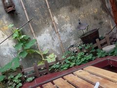 -吴家馄饨