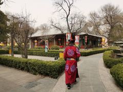 -白家大院·王府宫廷菜(苏州街店)