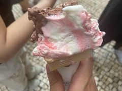-柠檬车露(卖草地店)