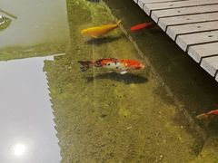 -膳和缘炒鸡店(南门路店)