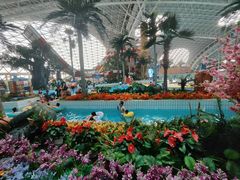 -天山海世界·米立方