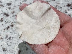 -江苏省扬州旅游商贸学校