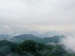 -大金鹰园