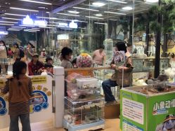 -小象动悟公园(龙湖亦庄天街店)