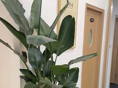 -筋骨堂热敷推拿按摩(招商花园城店)