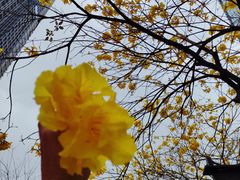 -民盈·国贸城