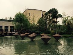 -上海崇明金茂凯悦酒店