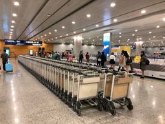 -上海浦东国际机场-T2航站楼