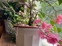 -云之南(八里庄店)