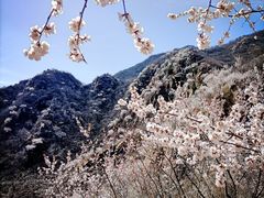 -北京凤凰岭
