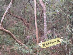 -野象谷景区