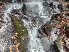 -本溪汤沟绿石谷森林公园