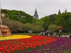 -苏州上方山国家森林公园