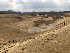 -鳥取砂丘会館