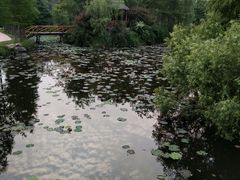 -日照海滨国家森林公园