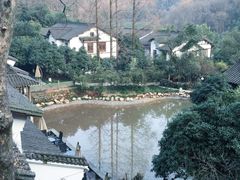 -嘉龙茶庄
