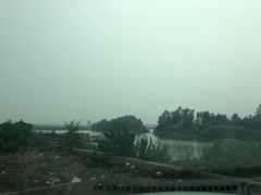 -蒲河岛湿地公园