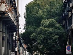 -慈城古县城景区