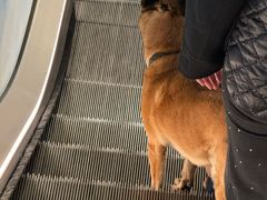 -文艺复兴百货(米兰大教堂广场店)