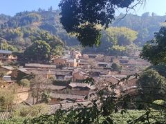 -杨家堂村