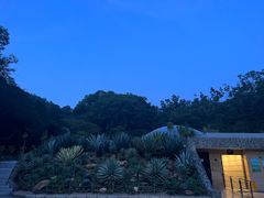 -深圳仙湖植物园