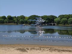 -上海鲜花港