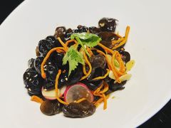 凉拌秦岭木耳-東舍食唐精品陕菜馆