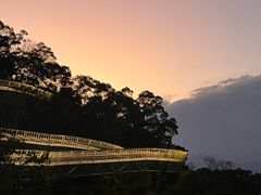 -福道
