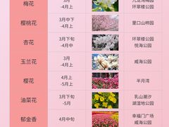 -幸福门