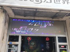 -贝壳梦幻世界