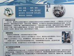 -青藏高原野生动物园