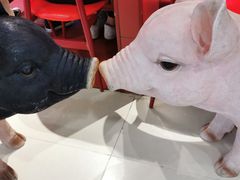 -猪角·闽南猪脚饭(上梅林店)