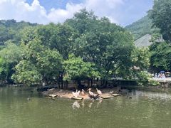 -黔灵山公园