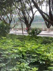 -莉泽月子中心(凯旋江景店)