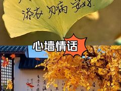 -炎钬堂亚健康管理(白银路店)