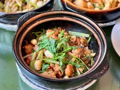 沙姜嗜鸡-煲煲好(朝阳门店)