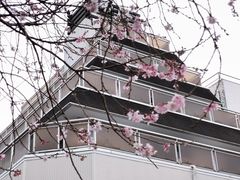 -浅草寺