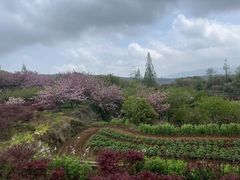 -四明山国家森林公园