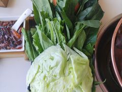 -阳坊胜利涮羊肉(阳坊老店)